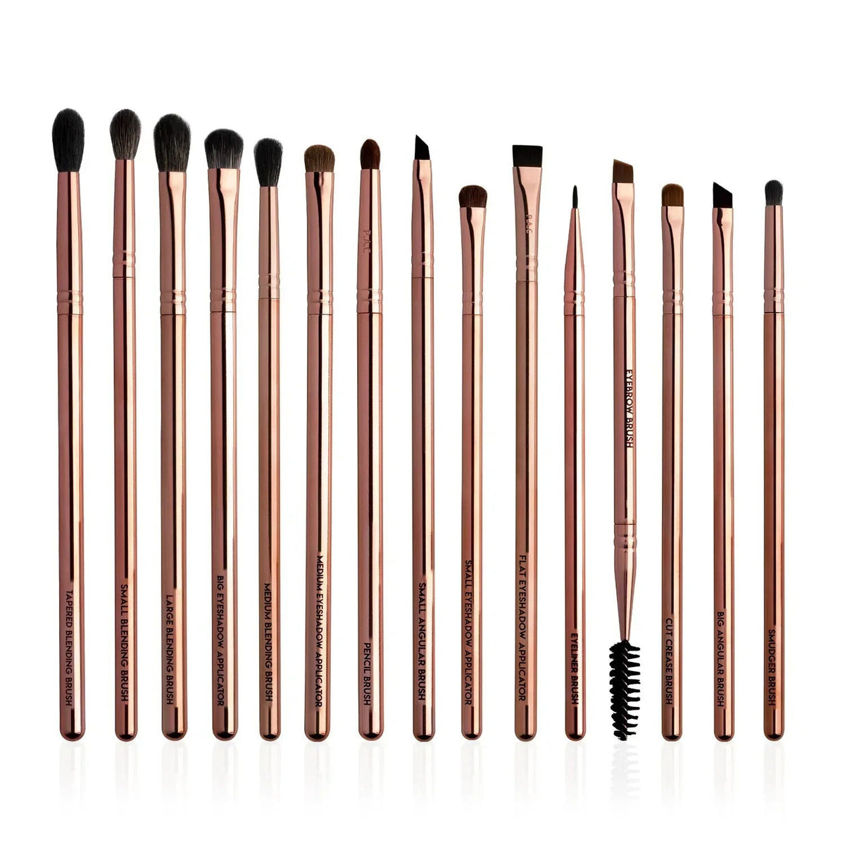 PAC EYCONIC BRUSH SERIES 15 BRUSHES