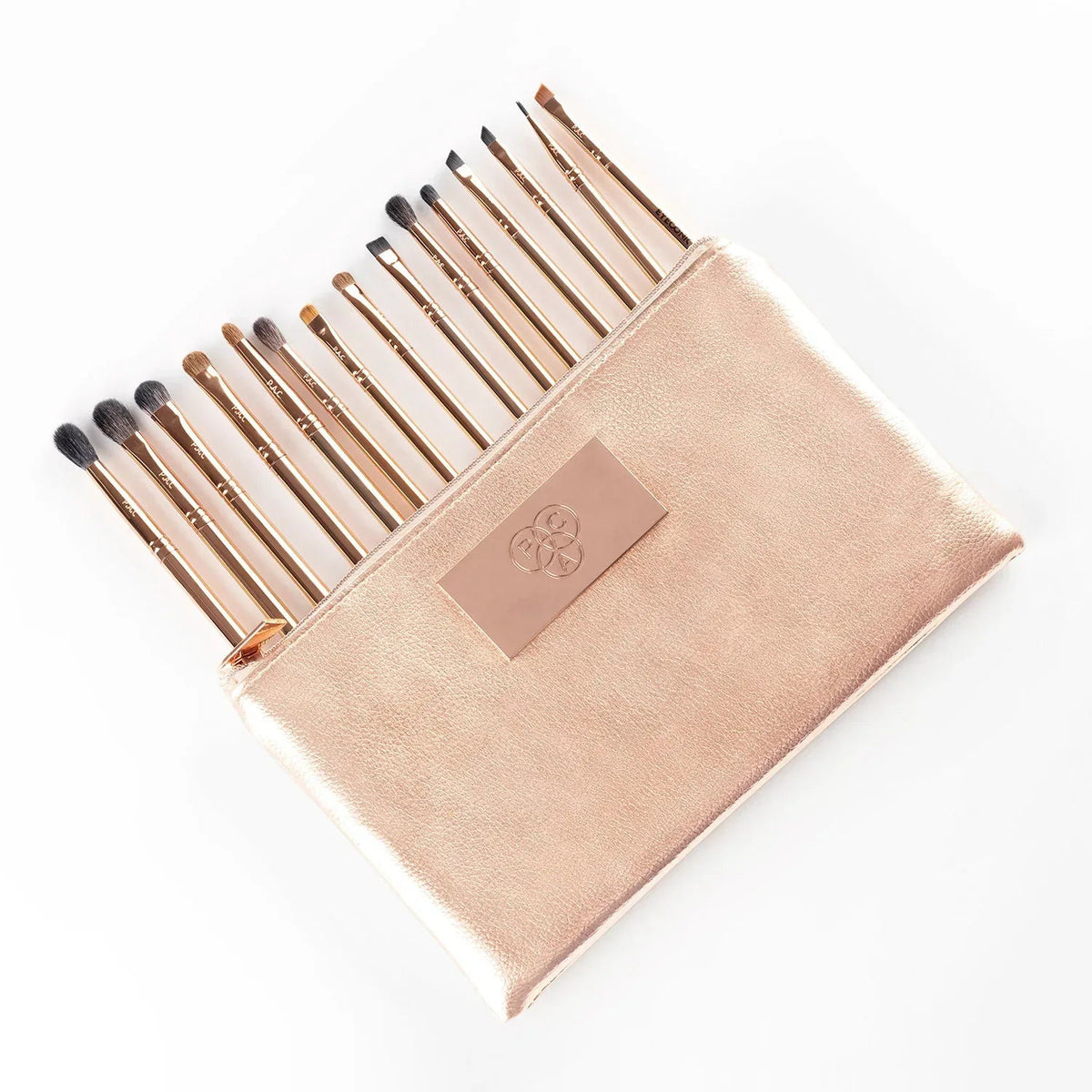 PAC EYCONIC BRUSH SERIES 15 BRUSHES