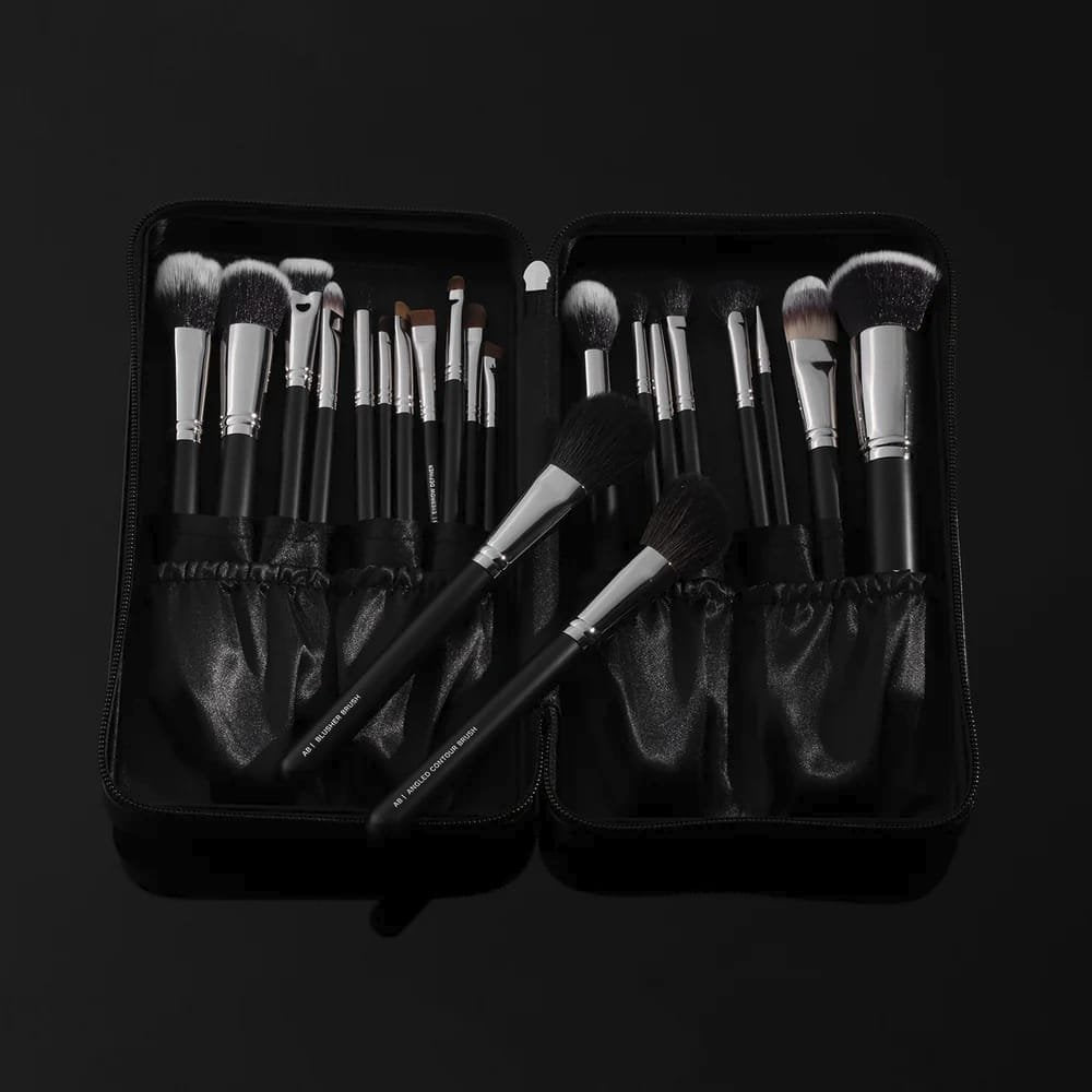 PAC Absolute Basics 21 Brushes