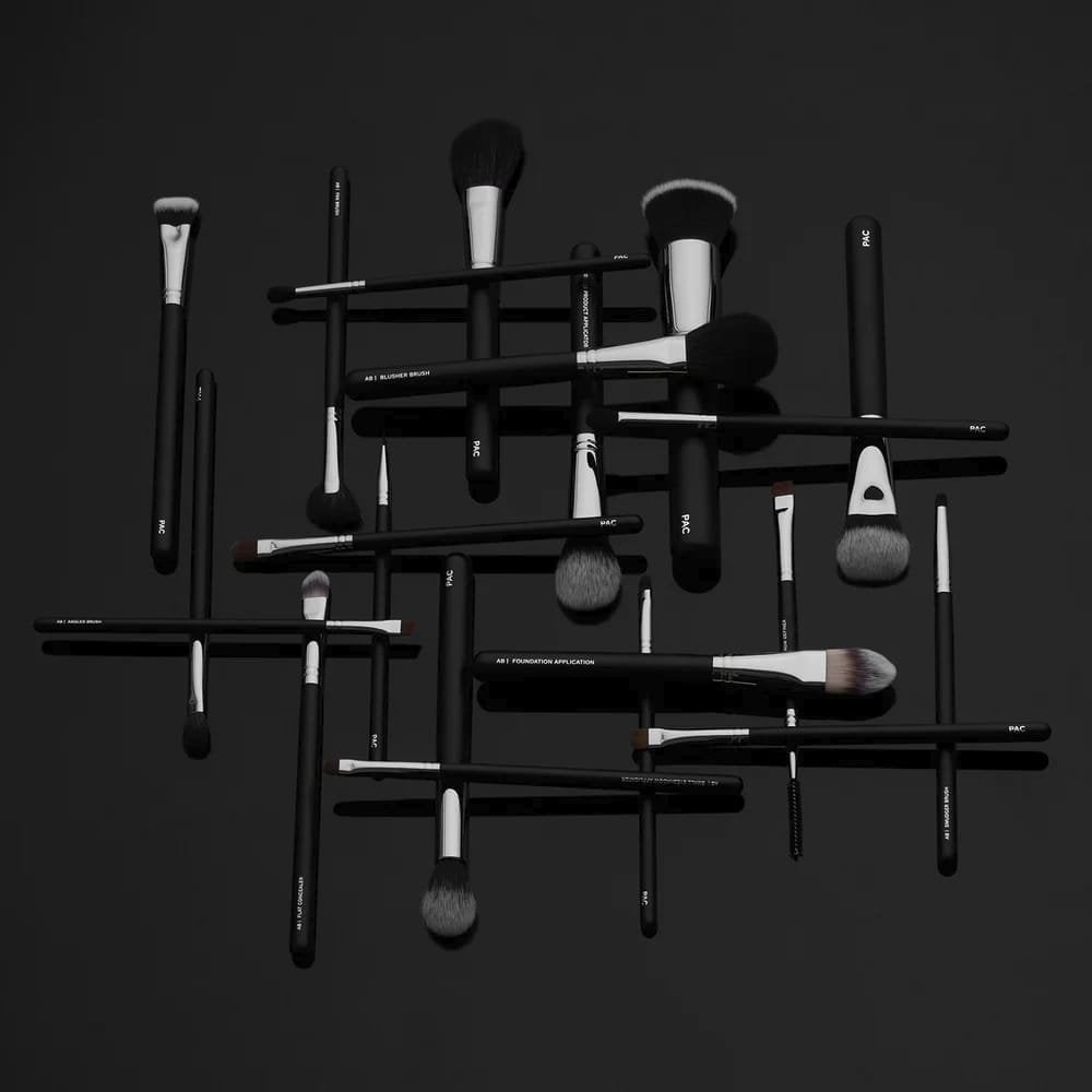 PAC Absolute Basics 21 Brushes
