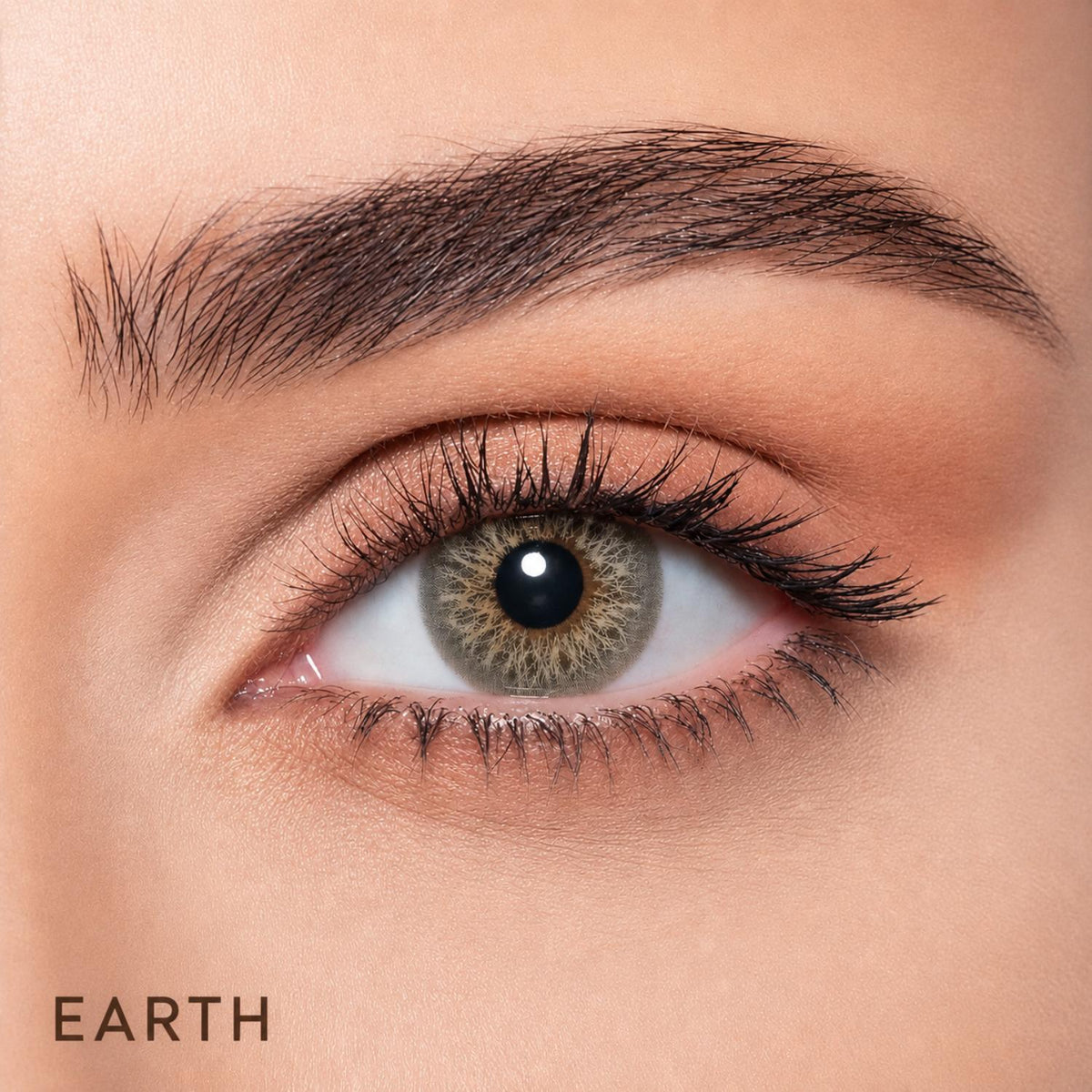 BELLA ONE DAY LENSES 10 PIECES BOX