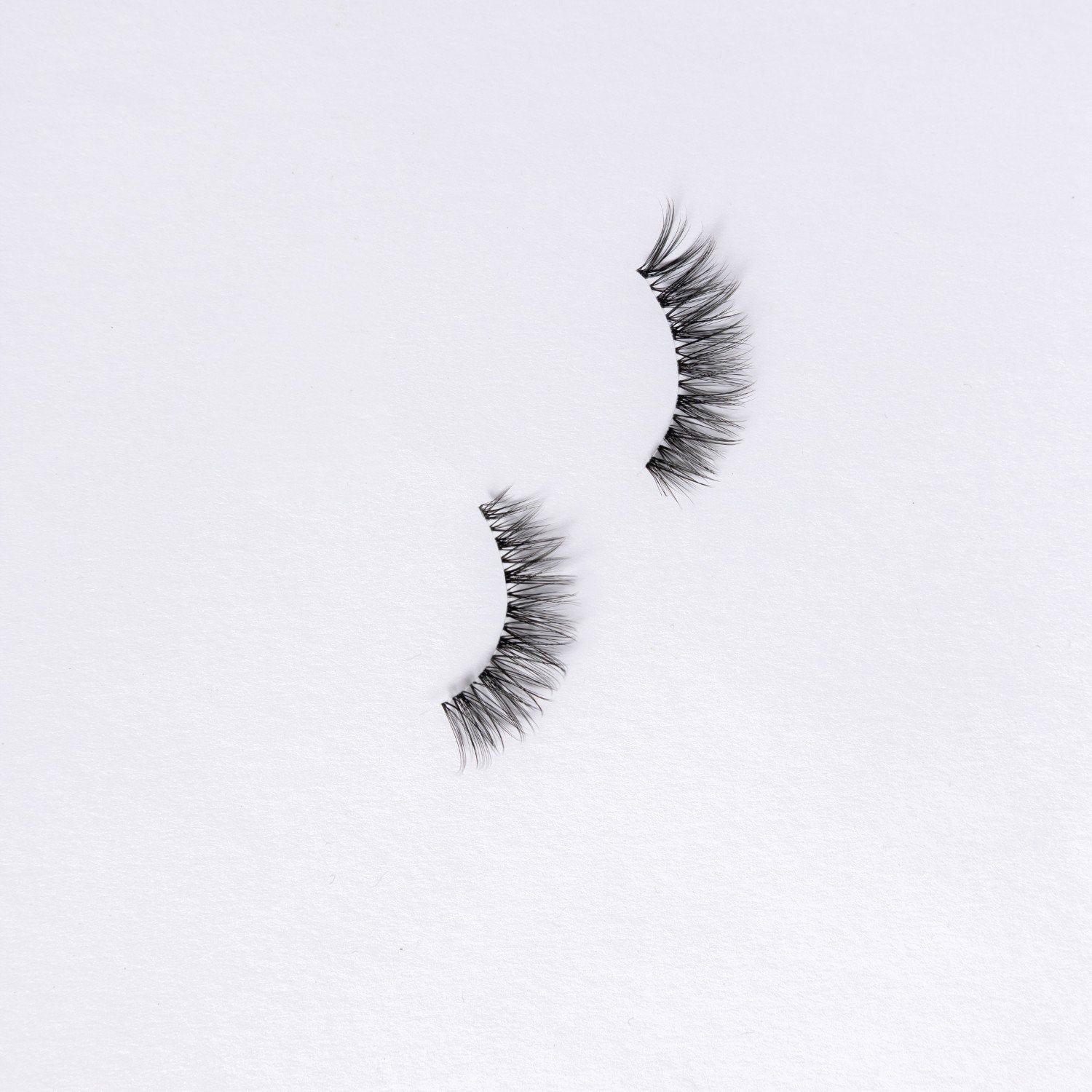 SNS Premium lashes   Tina