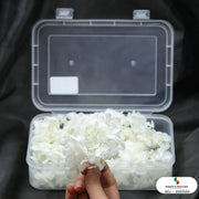 DRY FLOWERS HYDRENGIES - BOX PACK