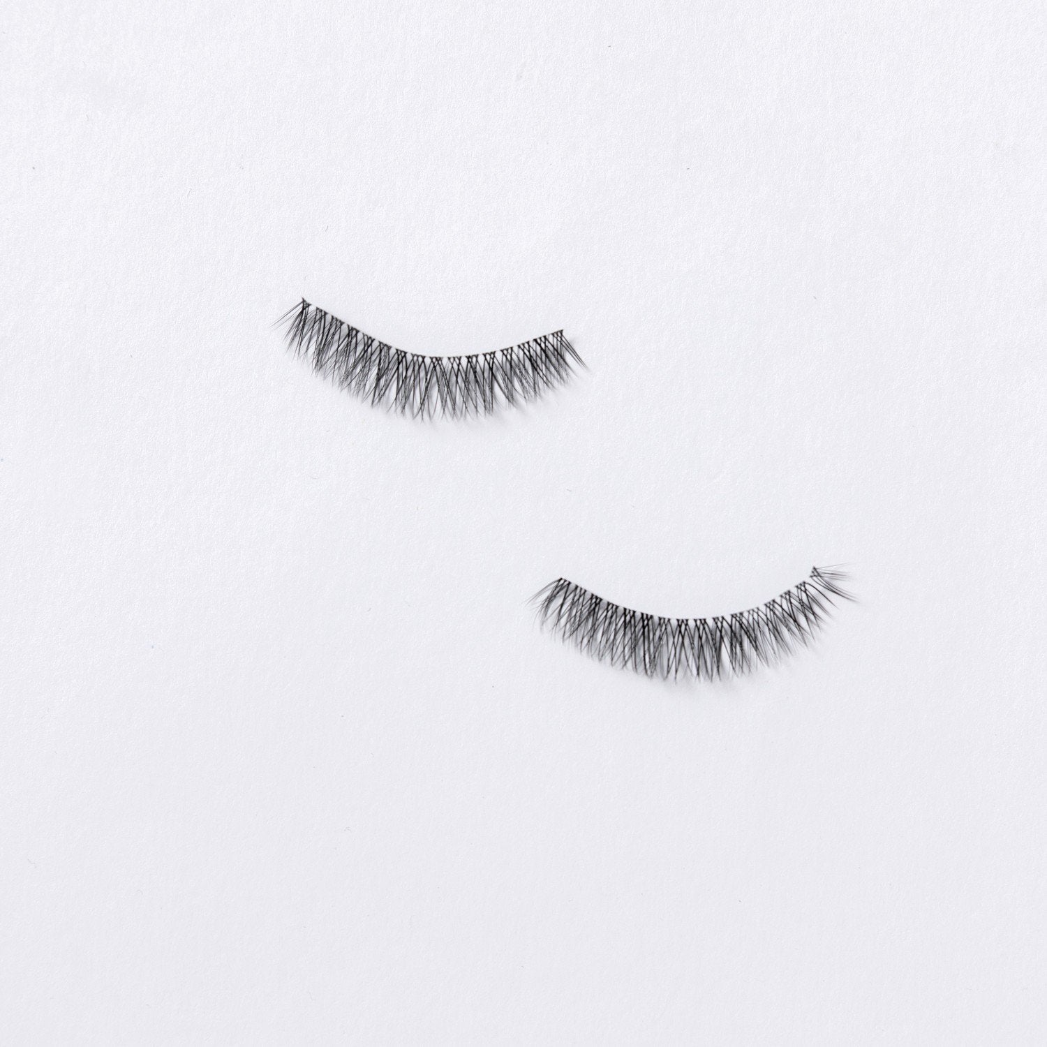 SNS Premium lashes - CHAYA