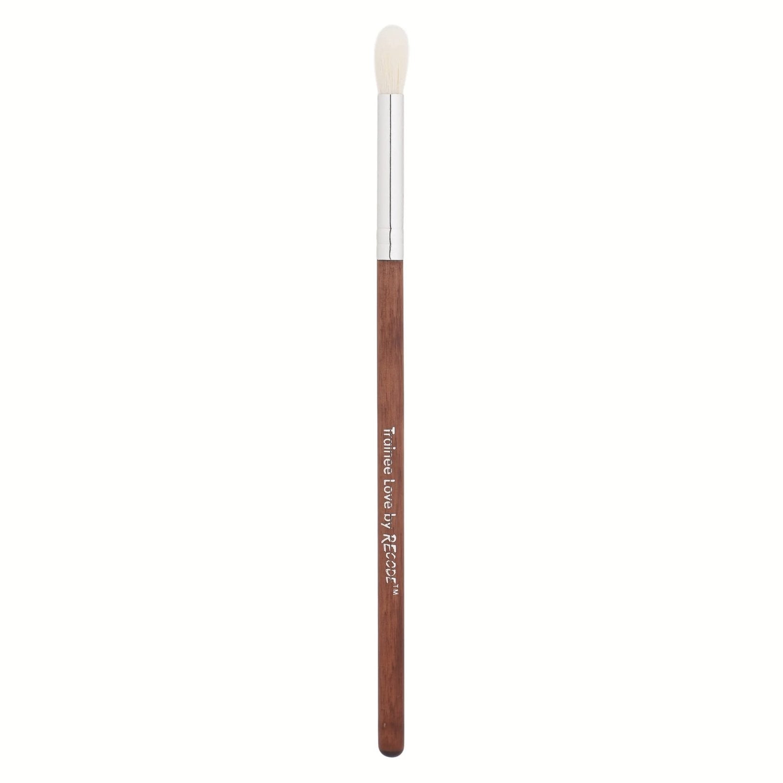 RECODE TRAINEE BRUSH SET OF 30PCS