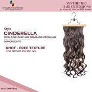 HAIR EXTENSIONS - CINDERELLA 1