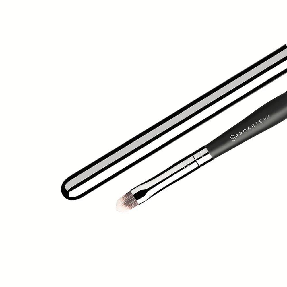 PROARTE Retractable Lip Brush   PL 37