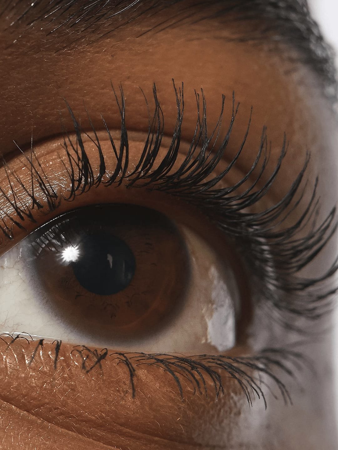 REFY LASH SCULPT MASCARA 10ML