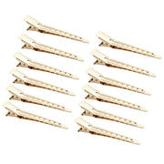 GOLD SECTION CLIPS 12 PCS SET